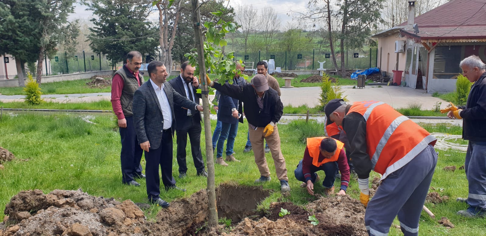 KAVAK, YEŞİL ATAĞA GEÇTİ